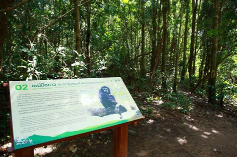 燕郊有哪些公園?且談談燕郊的公園文化與生態價值